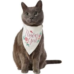Frisco Wedding Reversible Dog & Cat Bandana -Cat Products Store 248712 PT3. AC SS1800 V1632431176
