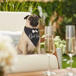 Frisco Wedding Reversible Dog & Cat Bandana -Cat Products Store 248712 PT5. AC SS1800 V1632432987