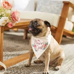 Frisco Wedding Reversible Dog & Cat Bandana -Cat Products Store 248712 PT6. AC SS1800 V1632430655