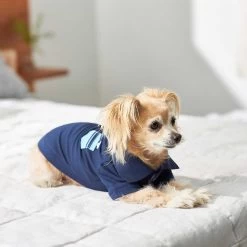 Frisco Dog & Cat Polo Shirt With Accent Pocket -Cat Products Store 248880 PT7. AC SS1800 V1644960683