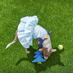 Frisco Blue Daisies Dog & Cat Dress -Cat Products Store 249045 PT7. AC SS1800 V1644474172