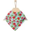 Frisco Fruity Summer Dog & Cat Bandana
