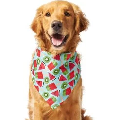Frisco Fruity Summer Dog & Cat Bandana -Cat Products Store 249204 PT2. AC SS1800 V1637644629