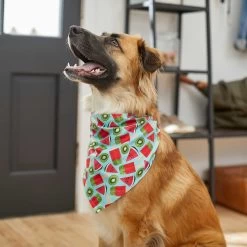 Frisco Fruity Summer Dog & Cat Bandana -Cat Products Store 249204 PT4. AC SS1800 V1637668676