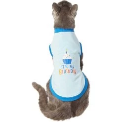 Frisco It's My Birthday & Cat T-Shirt -Cat Products Store 249249 PT2. AC SS1800 V1624604252