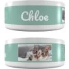 Frisco Playful Kitty Ceramic Personalized Cat Bowl, 1-cup, 8oz 2 Frisco Playful Kitty Ceramic Personalized Cat Bowl, 1-cup, 8oz -Cat Products Store 250841 MAIN. AC SS1800 V1602625886