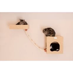 Armarkat Real Wood Cat Condo, Perch & Perch -Cat Products Store 251432 PT4. AC SS1800 V1599268279