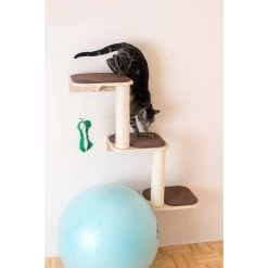 Armarkat Real Wood Cat Step -Cat Products Store 251434 PT3. AC SS1800 V1599275454