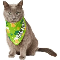 Frisco Green Ale Personalized Dog & Cat Bandana -Cat Products Store 254207 PT7. AC SS1800 V1618510956