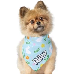 Frisco Easter Bunny Personalized Dog & Cat Bandana 17 Frisco Easter Bunny Personalized Dog & Cat Bandana -Cat Products Store 254211 PT6. AC SS1800 V1618509425
