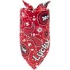 Frisco Paisley Printed Personalized Dog & Cat Bandana -Cat Products Store 254247 MAIN. AC SS1800 V1701981426