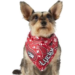 Frisco Paisley Printed Personalized Dog & Cat Bandana -Cat Products Store 254247 PT6. AC SS1800 V1618507975