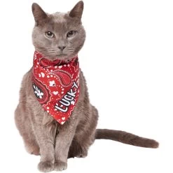 Frisco Paisley Printed Personalized Dog & Cat Bandana -Cat Products Store 254247 PT7. AC SS1800 V1618508211