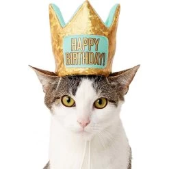 Frisco Happy Birthday Dog & Cat Crown & Frisco Dog & Cat Birthday Bandana 9 Frisco Happy Birthday Dog & Cat Crown & Frisco Dog & Cat Birthday Bandana -Cat Products Store 255523 PT2. AC SS1800 V1603716120