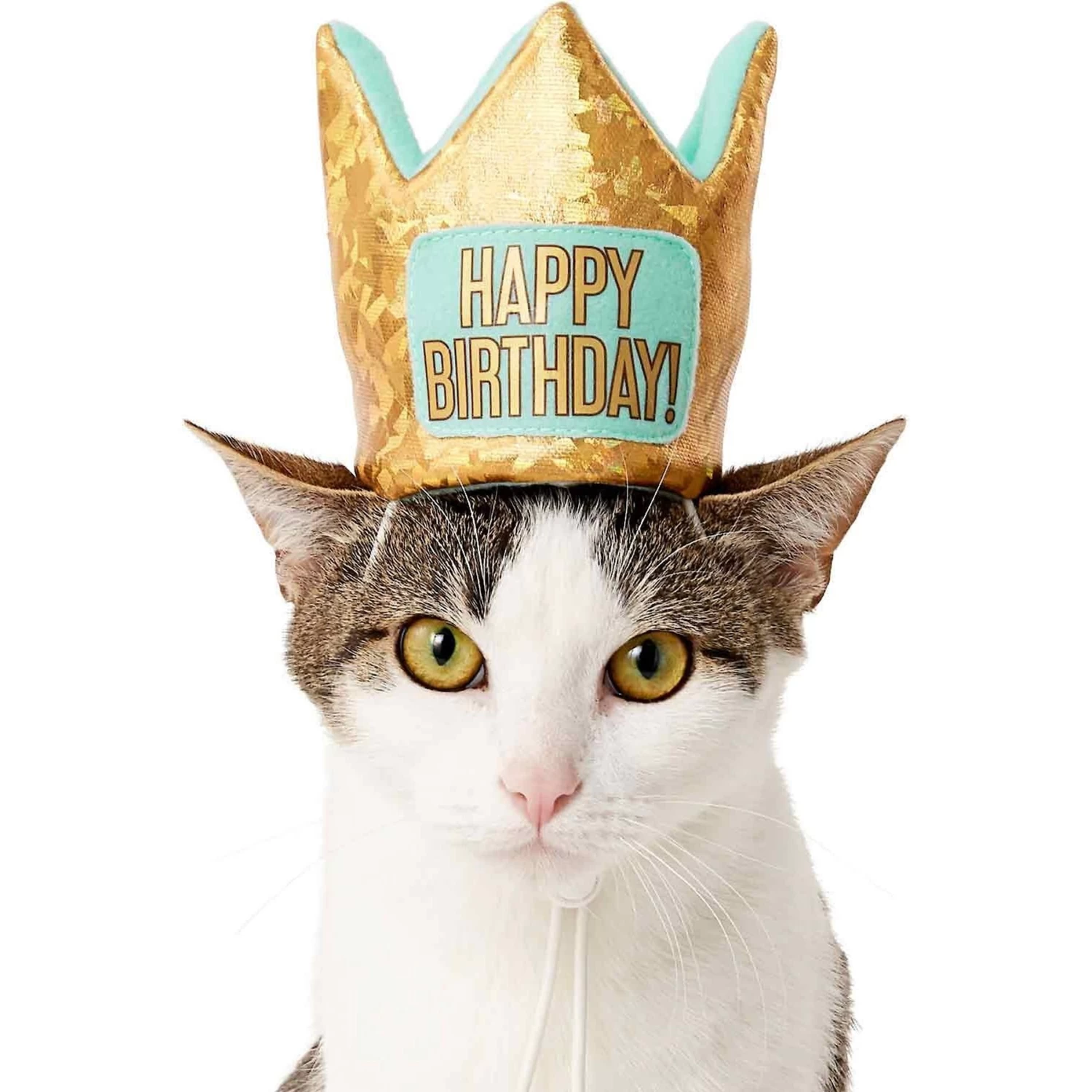 Frisco Happy Birthday Dog & Cat Crown & Frisco Dog & Cat Birthday Bandana 5 Frisco Happy Birthday Dog & Cat Crown & Frisco Dog & Cat Birthday Bandana - Image 3