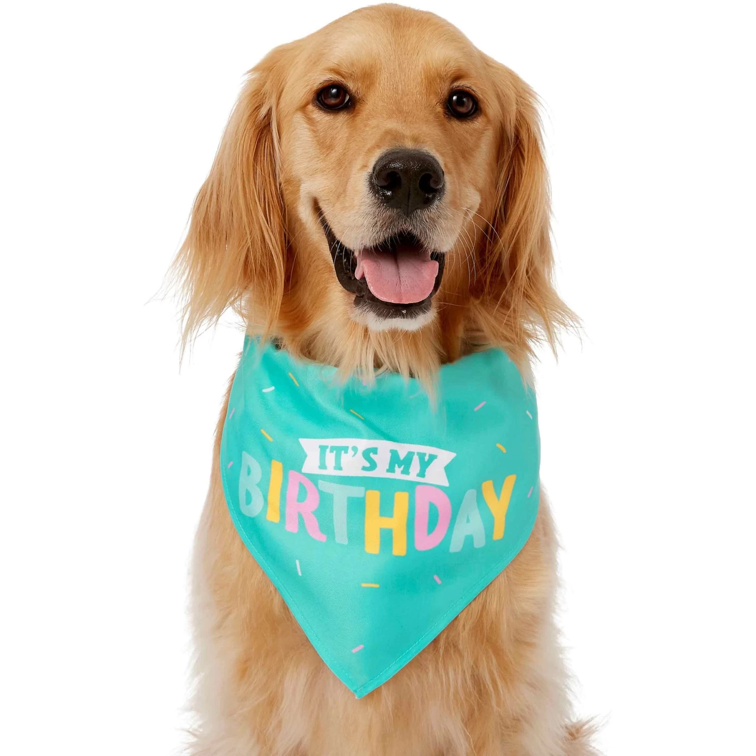 Frisco Happy Birthday Dog & Cat Crown & Frisco Dog & Cat Birthday Bandana 6 Frisco Happy Birthday Dog & Cat Crown & Frisco Dog & Cat Birthday Bandana - Image 4