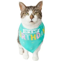 Frisco Happy Birthday Dog & Cat Crown & Frisco Dog & Cat Birthday Bandana 11 Frisco Happy Birthday Dog & Cat Crown & Frisco Dog & Cat Birthday Bandana -Cat Products Store 255523 PT4. AC SS1800 V1603716120