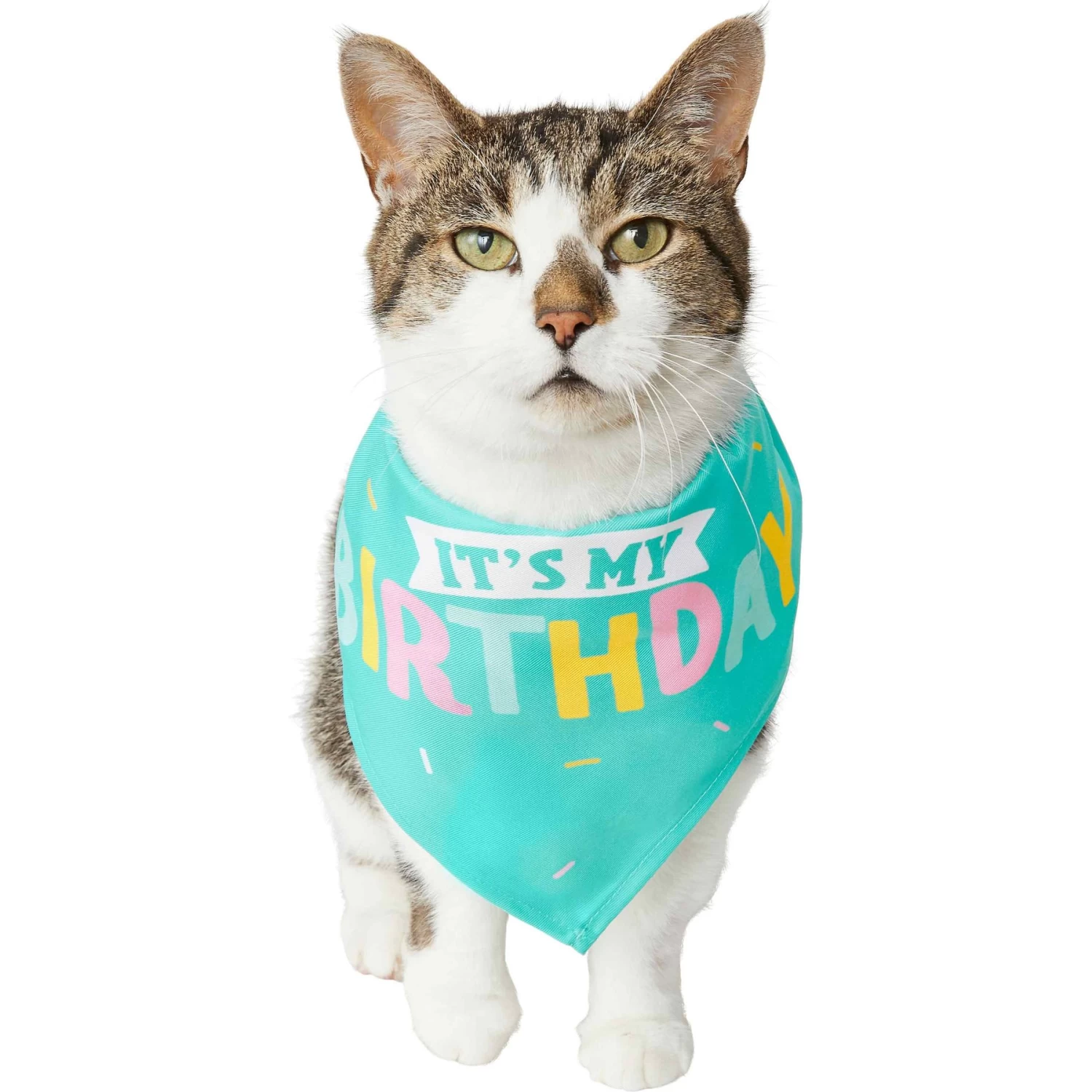 Frisco Happy Birthday Dog & Cat Crown & Frisco Dog & Cat Birthday Bandana 7 Frisco Happy Birthday Dog & Cat Crown & Frisco Dog & Cat Birthday Bandana - Image 5