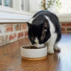 Frisco Round Meow Non-skid Ceramic Cat Bowl With Wood Base 10 Frisco Round Meow Non-skid Ceramic Cat Bowl With Wood Base -Cat Products Store 256078 PT2. AC SS1800 V1615313612