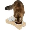 Frisco Double Elevated Cat Bowl With Wood Stand -Cat Products Store 256082 MAIN. AC SS1800 V1616509034