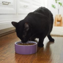 Frisco Kaleidoscope Pattern Non-skid Ceramic Dog & Cat Bowl -Cat Products Store 256090 PT2. AC SS1800 V1615311092