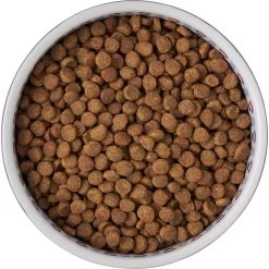 Frisco Kaleidoscope Pattern Non-skid Ceramic Dog & Cat Bowl -Cat Products Store 256090 PT5. AC SS1800 V1615312887