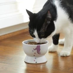 Frisco Cat Print Non-skid Elevated Ceramic Cat Bowl, Short -Cat Products Store 256096 PT2. AC SS1800 V1616522571