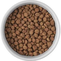 Frisco Cat Print Non-skid Elevated Ceramic Cat Bowl, Short -Cat Products Store 256096 PT4. AC SS1800 V1616522576