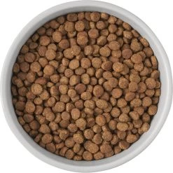 Frisco Cat Print Non-Skid Elevated Ceramic Cat Bowl, Tall -Cat Products Store 256099 PT4. AC SS1800 V1616522538