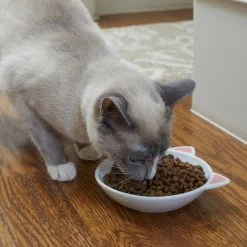 Frisco Cat Face Non-skid Ceramic Cat Dish -Cat Products Store 256105 PT2. AC SS1800 V1615310882