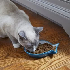 Frisco Fish Shaped Non-skid Ceramic Cat Dish -Cat Products Store 256109 PT3. AC SS1800 V1617196297