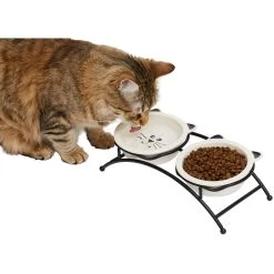 Frisco Cat Face Non-skid Elevated Double Ceramic Cat Bowl