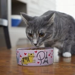 Frisco Paris Non-skid Ceramic Cat Dish 10 Frisco Paris Non-skid Ceramic Cat Dish -Cat Products Store 256117 PT2. AC SS1800 V1615311397