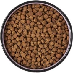 Frisco Paris Non-skid Ceramic Cat Dish 13 Frisco Paris Non-skid Ceramic Cat Dish -Cat Products Store 256117 PT5. AC SS1800 V1615311392