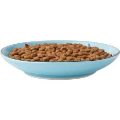 Frisco New York Non-skid Ceramic Cat Dish -Cat Products Store 256119 PT5. AC SS1800 V1618494742