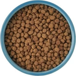 Frisco New York Non-skid Ceramic Cat Bowl -Cat Products Store 256121 PT5. AC SS1800 V1615311387