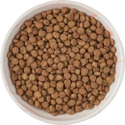 Frisco Marble Design Non-skid Ceramic Cat Dish -Cat Products Store 256127 PT5. AC SS1800 V1615321285