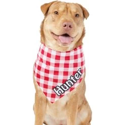 Frisco Gingham Personalized Dog & Cat Bandana -Cat Products Store 258775 PT6. AC SS1800 V1619558303