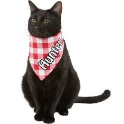 Frisco Gingham Personalized Dog & Cat Bandana -Cat Products Store 258775 PT7. AC SS1800 V1619558565