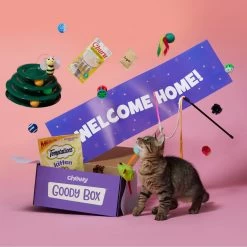 Goody Box Kitten Toys & Treats -Cat Products Store 258991 PT2. AC SS1800 V1657656401