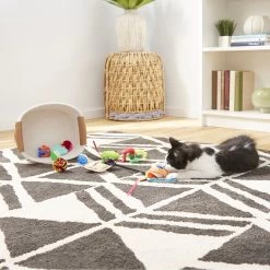 Goody Box Kitten Toys & Treats -Cat Products Store 258991 PT4. AC SS1800 V1657656402