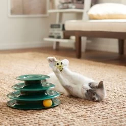 Goody Box Kitten Toys & Treats -Cat Products Store 258991 PT5. AC SS1800 V1657656402