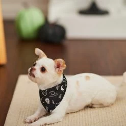 Frisco Glow In The Dark Mystical Print Dog & Cat Bandana 16 Frisco Glow In The Dark Mystical Print Dog & Cat Bandana -Cat Products Store 261218 PT5. AC SS1800 V1633057869