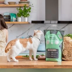 Rufus & Coco Wee Kitty Eco Plant Unscented Clumping Tofu Cat Litter -Cat Products Store 261670 PT1. AC SS1800 V1605644809
