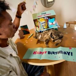 Goody Box Birthday Cat Toys, Treats & Collar -Cat Products Store 264415 PT2. AC SS1800 V1678387796