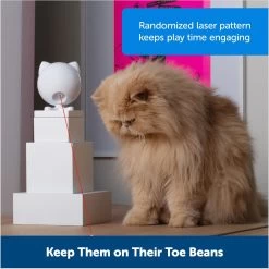 PetSafe Dancing Dot Laser Cat Toy -Cat Products Store 266211 PT5. AC SS1800 V1676318551