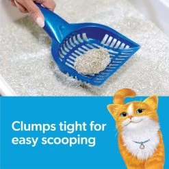 Fresh Step Advanced Extreme Mountain Spring Scented Clumping Clay Cat Litter, 18.5-lb Box -Cat Products Store 266341 PT4. AC SS1800 V1694455091