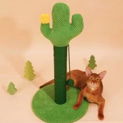ZEZE Desert Cactus Woven Rope Cat Scratcher -Cat Products Store 266583 PT5. AC SS1800 V1652237505