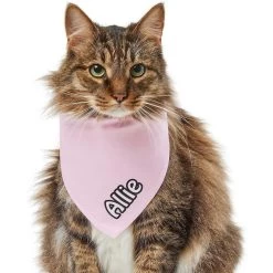 Frisco Solid Pastel Personalized Dog & Cat Bandana 18 Frisco Solid Pastel Personalized Dog & Cat Bandana -Cat Products Store 267514 PT7. AC SS1800 V1632434472