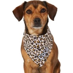 Frisco Leopard Print Personalized Dog & Cat Bandana 16 Frisco Leopard Print Personalized Dog & Cat Bandana -Cat Products Store 267543 PT7. AC SS1800 V1623164552